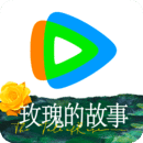 雨靴里的袜子
